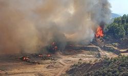 Antalya'da bir orman yangını daha