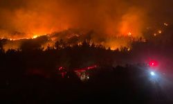 Orman yangınında 1 işçi dumandan etkilendi