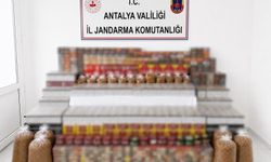 Manavgat'ta kaçak tütün operasyonu