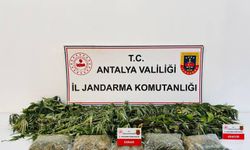 Alanya'da uyuşturucu operasyonu