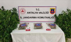 Gazipaşa'da uyuşturucu operasyonu