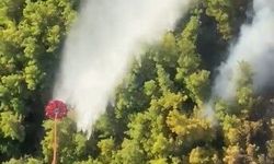 Manavgat’taki orman yangını kontrol altında
