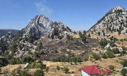 Alanya'da iki yangın söndürüldü
