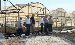 Yangında 3 bin 500 dönüm alan etkilendi