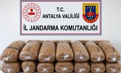 Jandarmadan tütün operasyonu