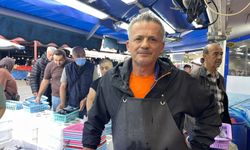 Bolu'da palamut ve hamsi ilgisi