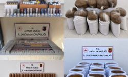 Antalya'da kaçak tütün operasyonu