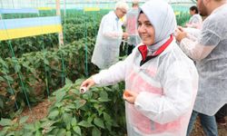 Aksu'da güvenilir gıda