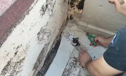 Yavru kediyi itfaiyeciler kurtardı