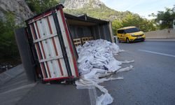 Bariyerlere çarpan kamyon devrildi
