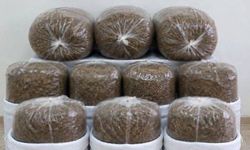 Kaçak tütün operasyonu: 400 kilogram tütün ele geçirildi