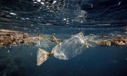Antalya Kent Konseyi'nden plastik kirliliği uyarısı