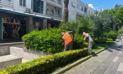 Antalya’da cadde ve sokaklarda erişilebilirlik dönemi