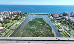 Boğaçayı'nda doğal yaşam dengesi korunuyor
