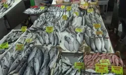 Sıcak havada balık riskine dikkat!