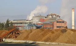 Besicilerin dikkatine! 12 bin ton yem satışa çıkıyor