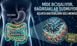 Bakterilerin gizli menüsü