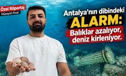 Özel Röportaj | Hüseyin Fırat- Antalya'nın dibindeki alarm; Balıklar azalıyor, deniz kirleniyor