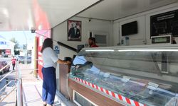 Halk Et Mobil Satış TIR'ı her gün farklı ilçede