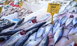 Tanesi 80 TL