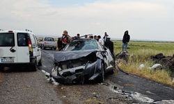 Bir ayda 230 kişi yollarda öldü
