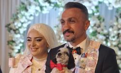 Düğünde altın yerine köpek taktı