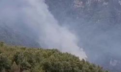 Hatay’da orman yangını