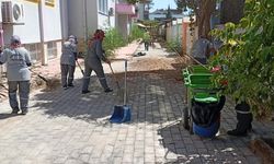 Kemer’de okul bahçelerinde temizlik