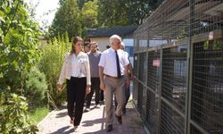 Kaymakamdan can dostlara ziyaret