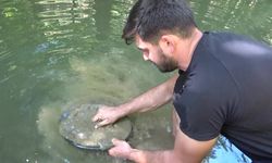 Dünyayı geziyor, günde 5 gram altın çıkarıyor