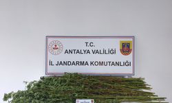 Serik'te uyuşturucu operasyonu