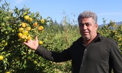 Dolu mandalinayı vurdu