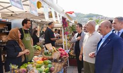 Tarladan sofraya, Alanya'dan dünyaya
