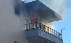 Serik’te dehşet: Ev sahibi yaktı, kiracı kediyi kurtardı!