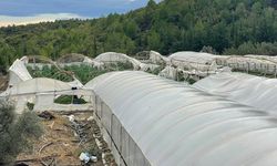 Hortum seraları yerle bir etti