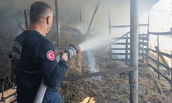 Manavgat'ta yangın: 5 hayvan telef oldu