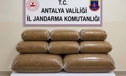 4 ilçede kaçak tütün baskını
