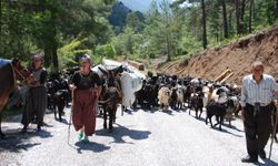 Yörüklerin dönüş yolculuğu başladı
