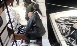 Palamutlar tekneye sığmadı