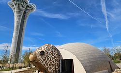COP31 Antalya'da caretta caretta damgası