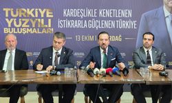 Zorlu’dan fon açıklaması
