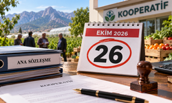 Antalya’daki kooperatiflere kritik tarih: Son gün 26 Ekim
