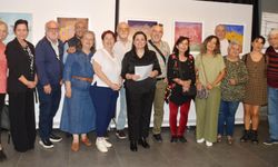 Avukattan 'telif hakkı' bilgilendirmesi