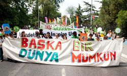 Greenpeace, Antalya’da gönüllüler arıyor
