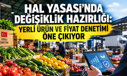 Hal yasasında değişiklik hazırlığı