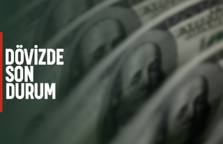 Dövizde son durum