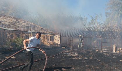 Muratpaşa'da yangın seralara sıçradı