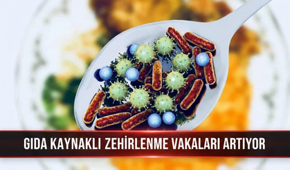 Gıda kaynaklı zehirlenme vakaları artıyor
