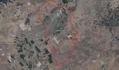 Kayalı'da arkeolojik sit alanı kararı