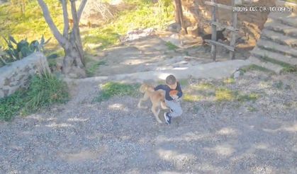 Gazipaşa'da köpeğin çocuğa saldırdığı anlar kameraya yansıdı